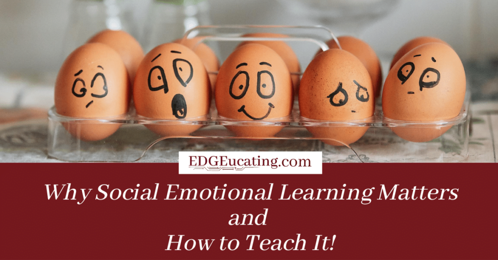 Why social emotional learning matters