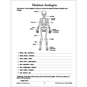 Analogies for Critical Thinking Grade 4 - Image 4