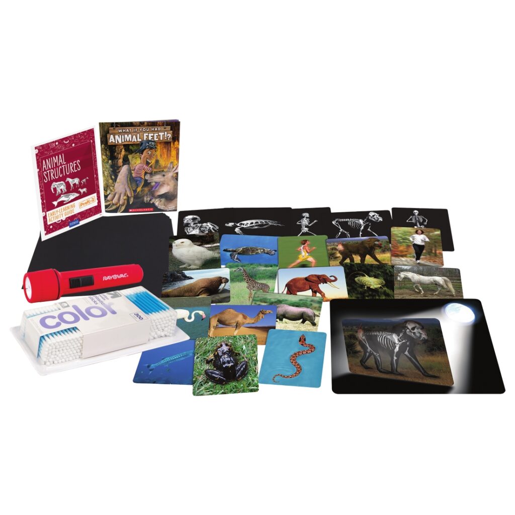 Animal Structures Activity Bundle