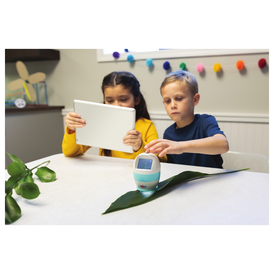 Easi Scope with Screen