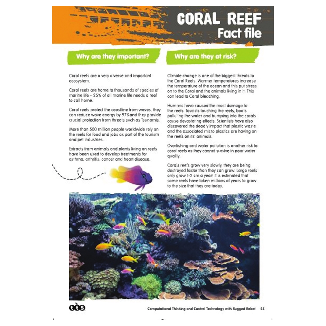 Rugged Robot Activity Book Inside