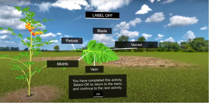 Umety Premium - Image 4