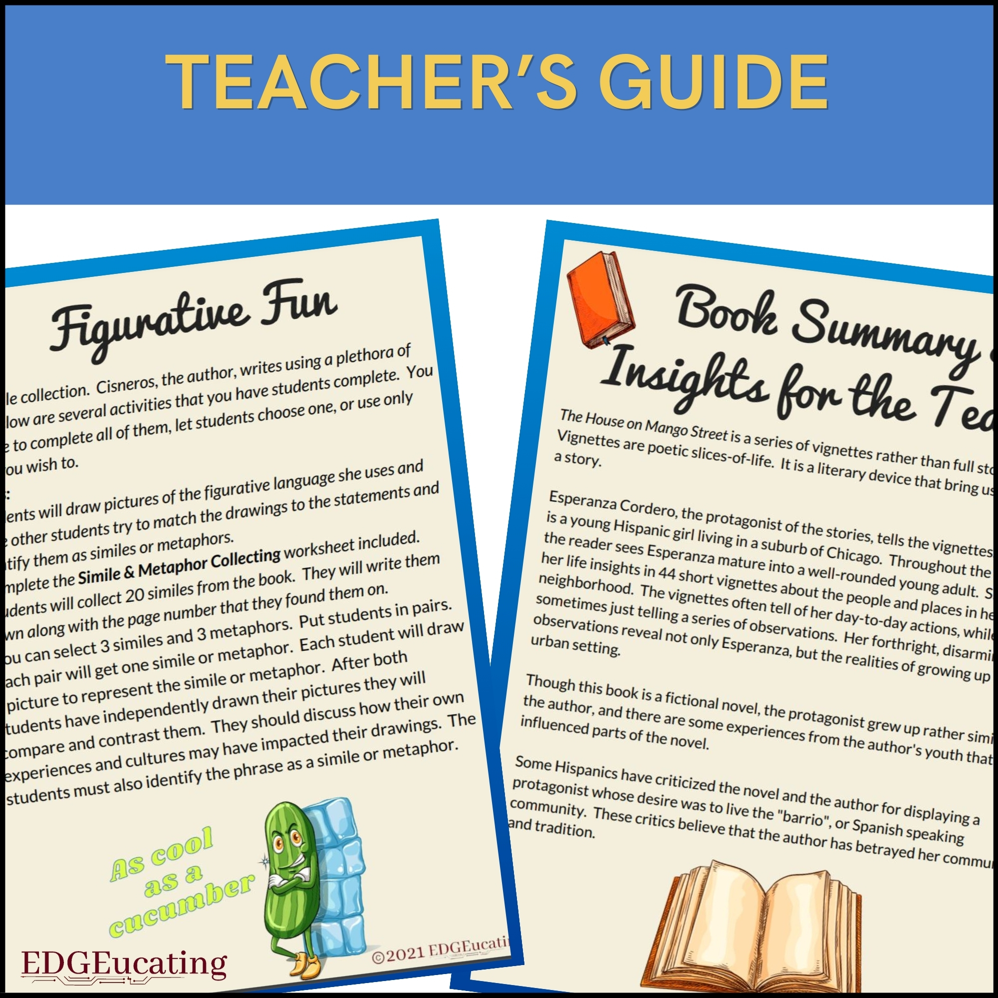 The House on Mango Street Novel Study Unit - Image 8