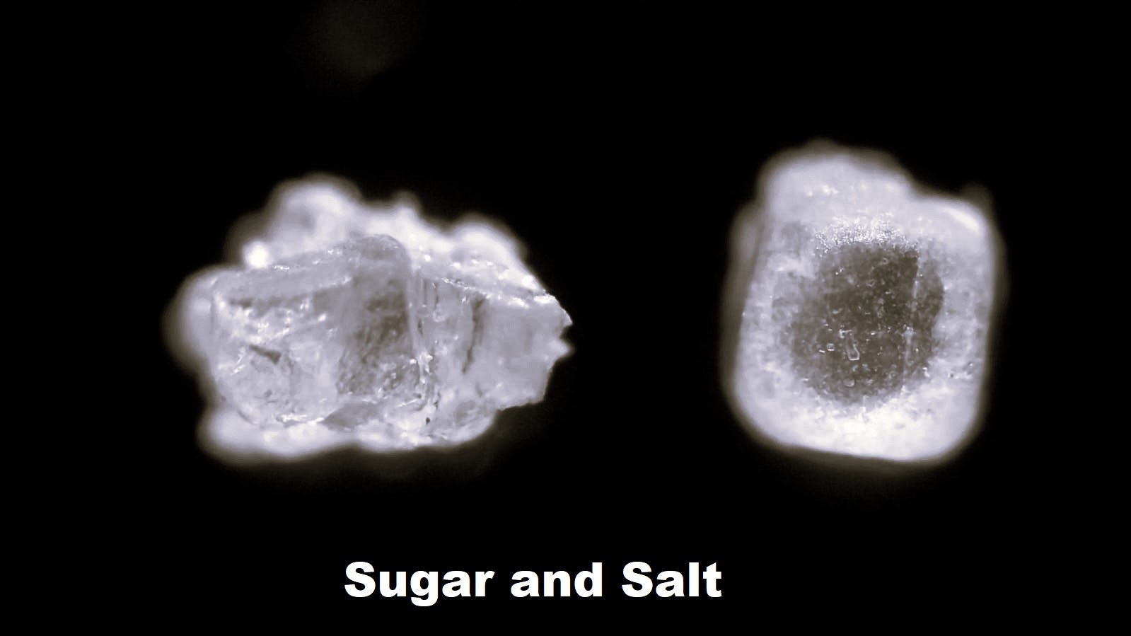 Matatastudio MT3 Digital Microscope - Image 9
