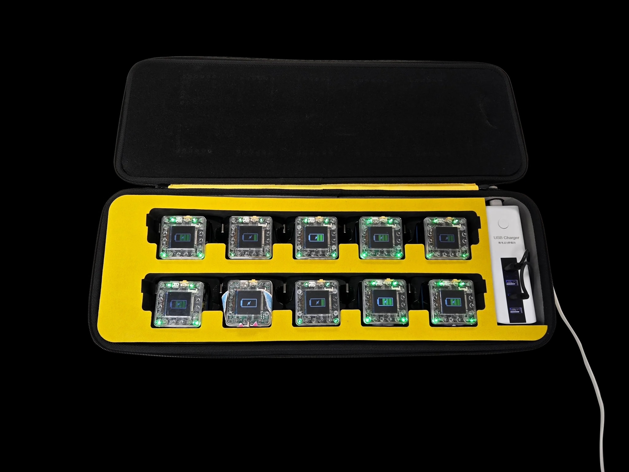 Powered KaiBot Charging Case for 10 bots